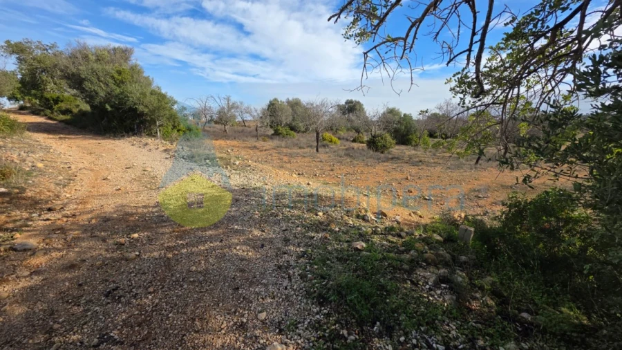 Terreno Agricola ou Rústico para Venda em Guia Foto 12