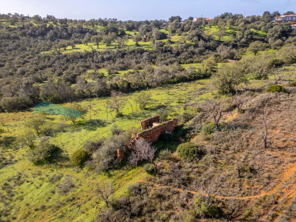 Terreno Misto para Venda em Boliqueime Foto 10