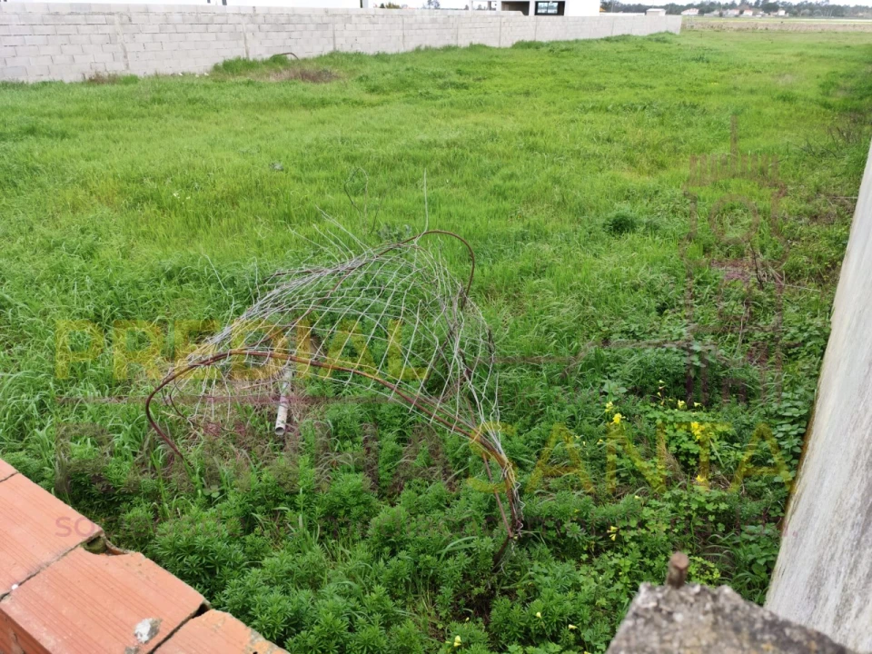 Terreno para Venda em Salvaterra de Magos e Foros de Salvaterra Foto 4