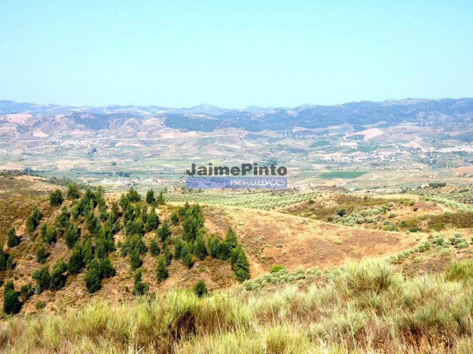 Terreno Agricola ou Rústico para Venda em Vilarelhos Foto 2