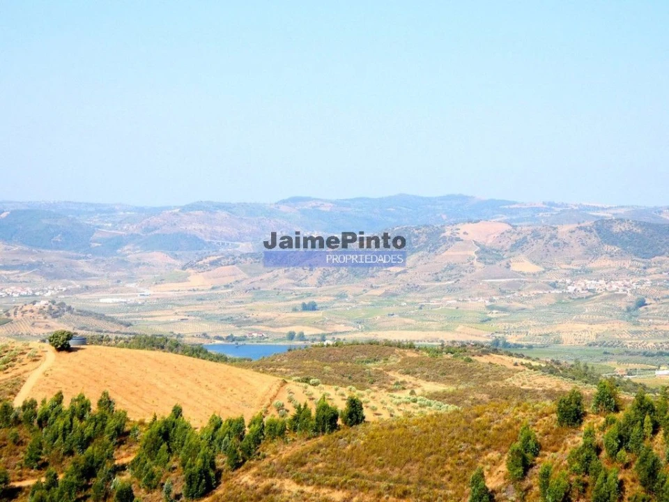 Terreno Agricola ou Rústico para Venda em Vilarelhos Foto 4