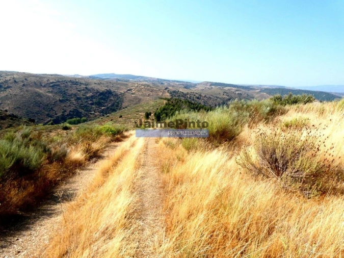 Terreno Agricola ou Rústico para Venda em Vilarelhos Foto 5