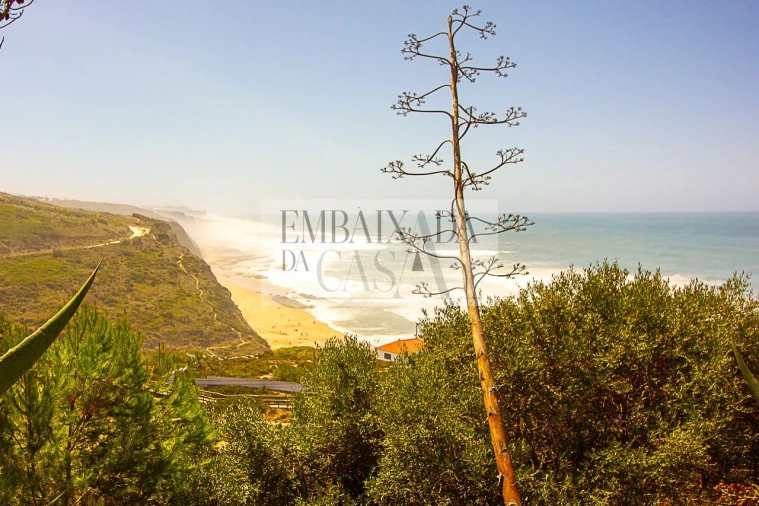 Apartamento T1 para Venda em São João das Lampas e Terrugem Foto 29