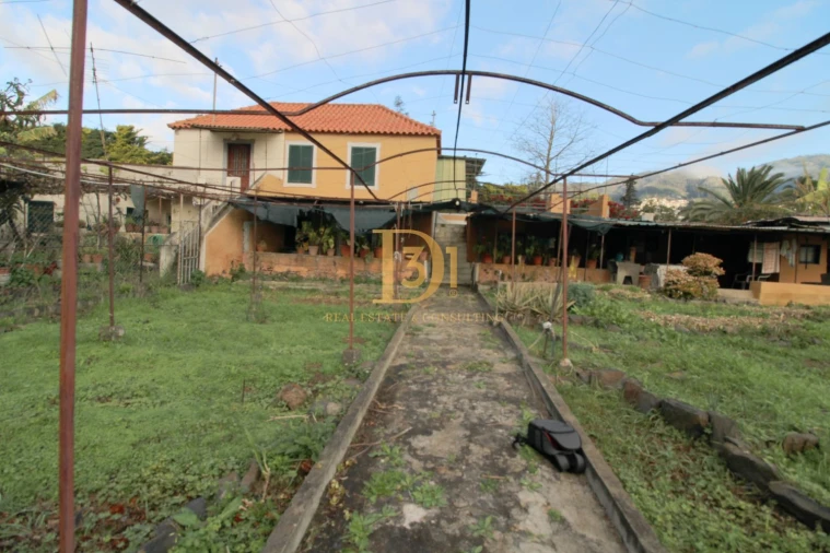 Terreno para Venda em Funchal (São Pedro) Foto 2