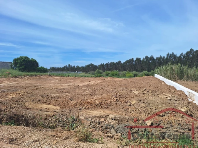 Terreno para Venda em Vermelha Foto 6