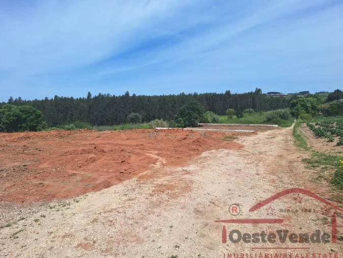 Terreno para Venda em Vermelha Foto 12