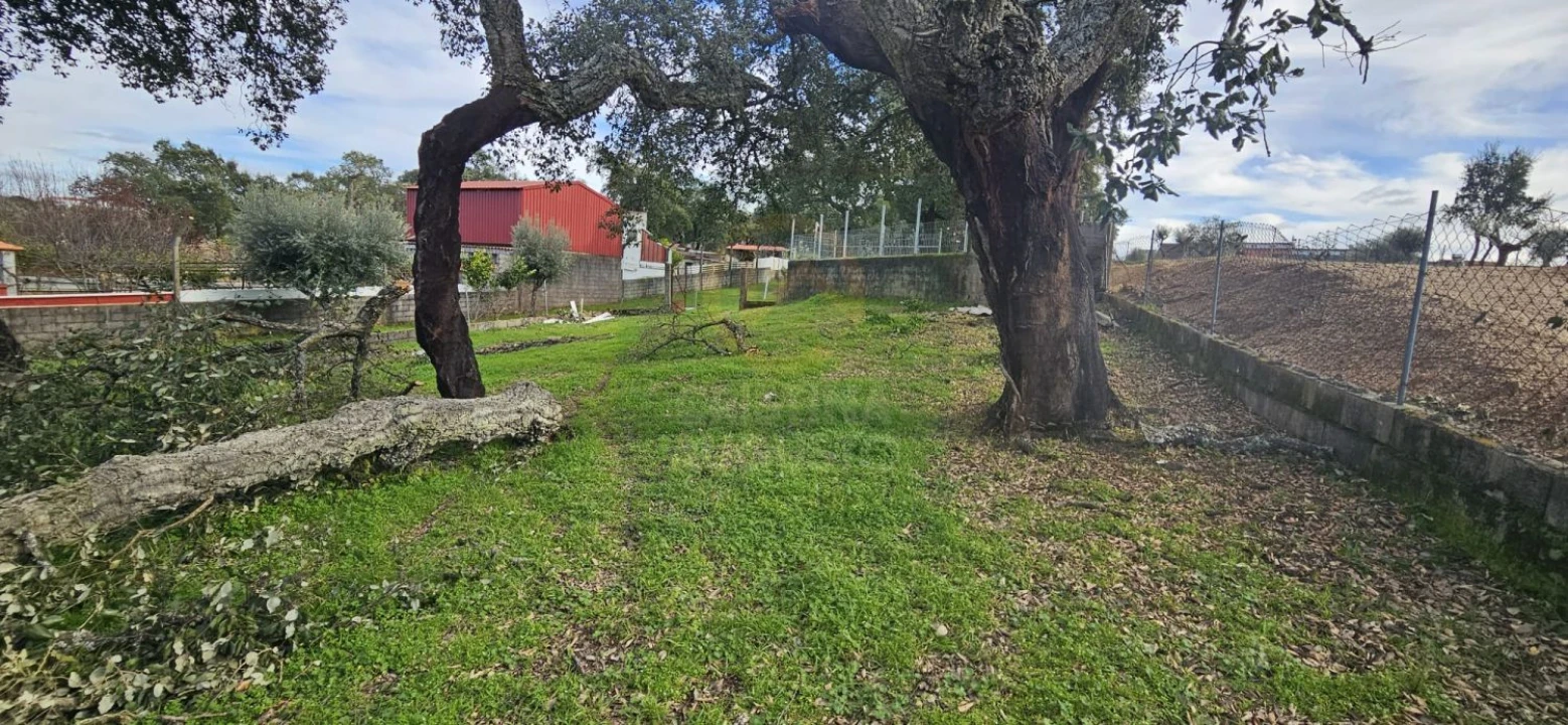 Terreno para Venda em Sarzedas Foto 35