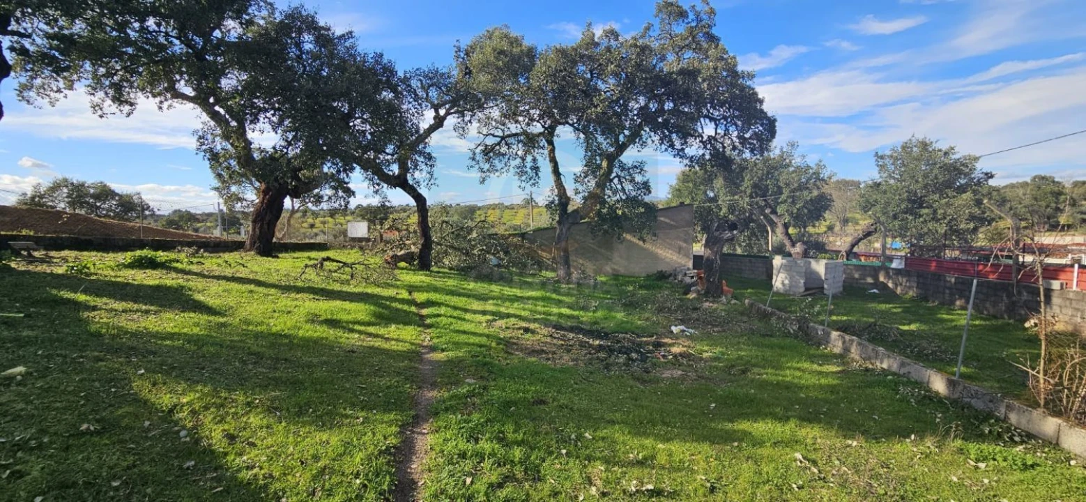 Terreno para Venda em Sarzedas Foto 40