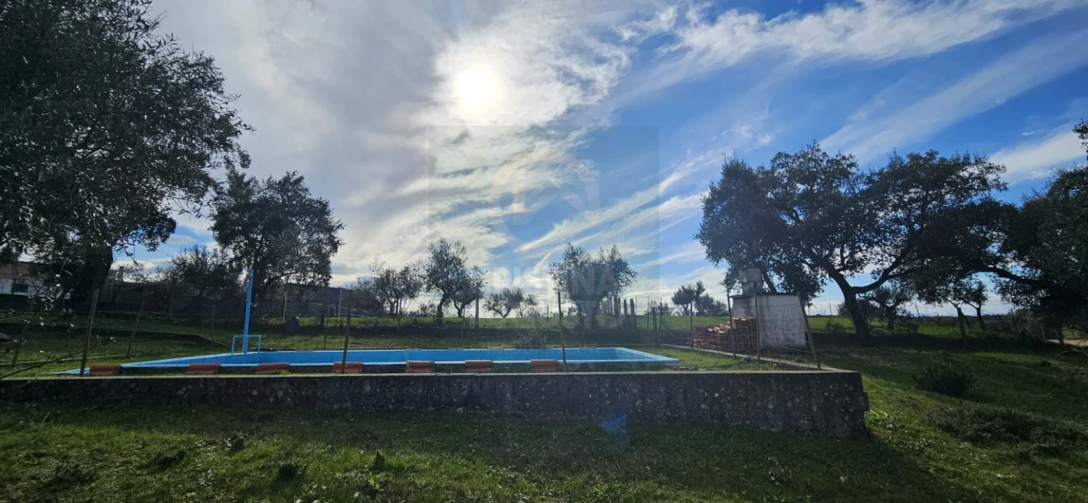 Terreno para Venda em Sarzedas Foto 14