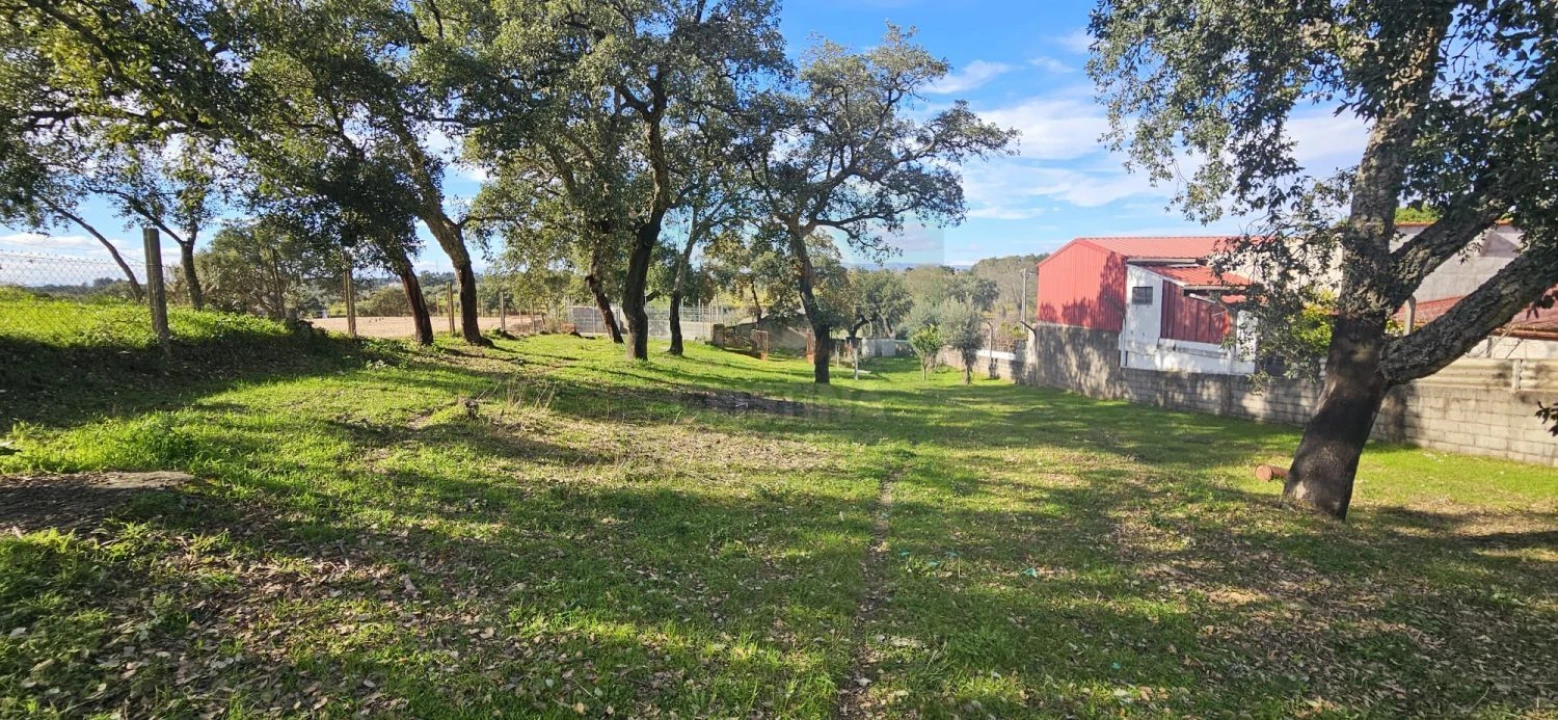 Terreno para Venda em Sarzedas Foto 30