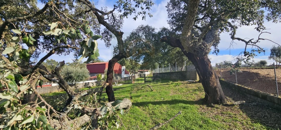 Terreno para Venda em Sarzedas Foto 38