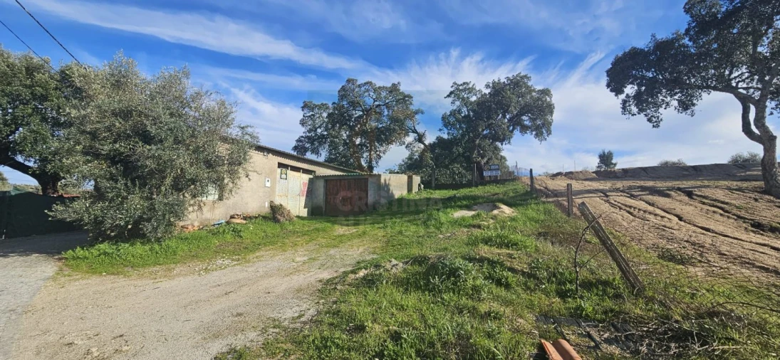 Terreno para Venda em Sarzedas Foto 17