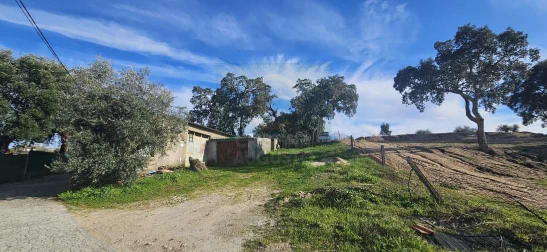 Terreno para Venda em Sarzedas Foto 18