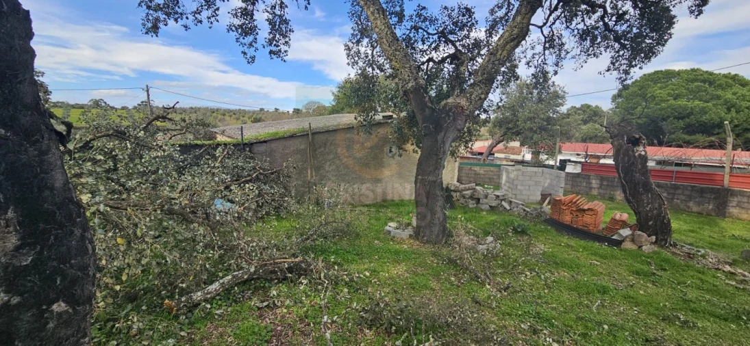Terreno para Venda em Sarzedas Foto 41