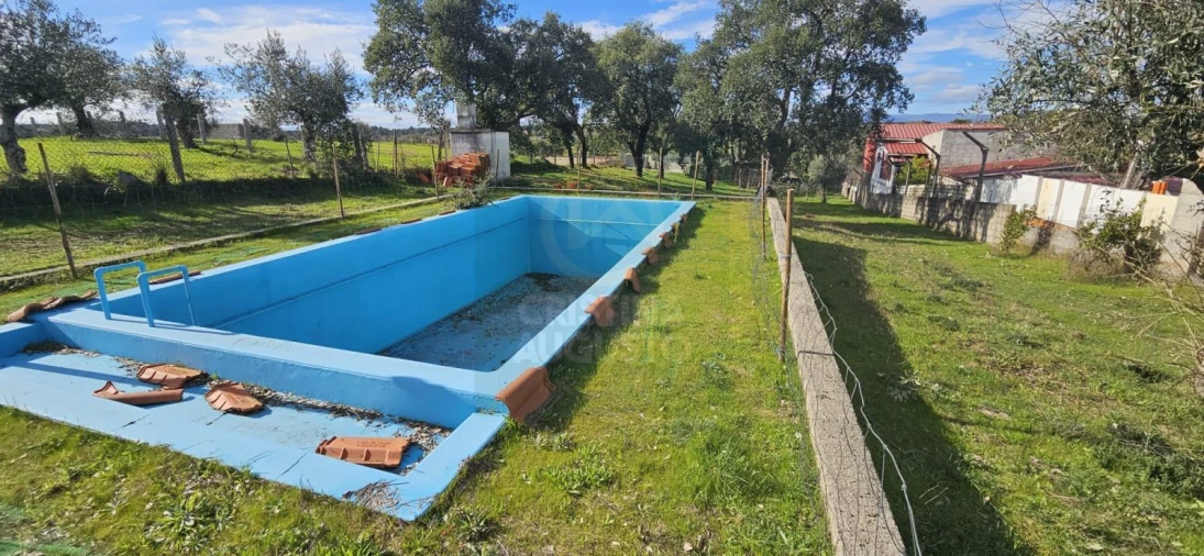 Terreno para Venda em Sarzedas Foto 9