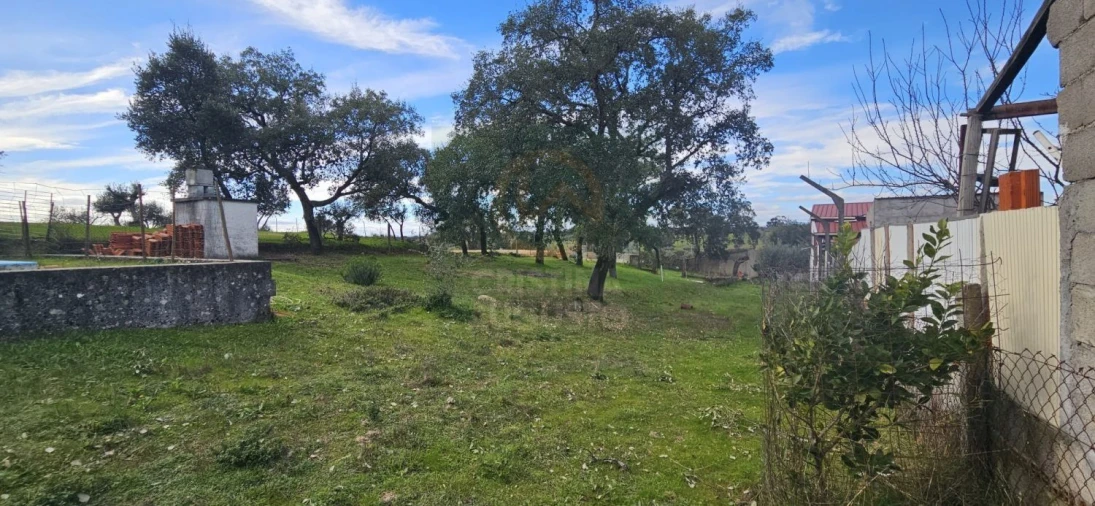 Terreno para Venda em Sarzedas Foto 33