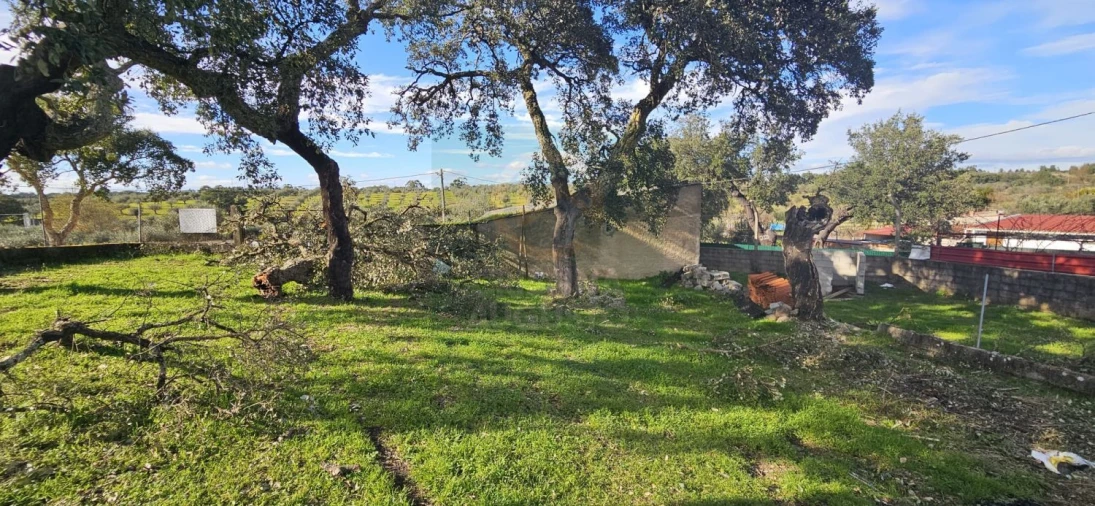 Terreno para Venda em Sarzedas Foto 28