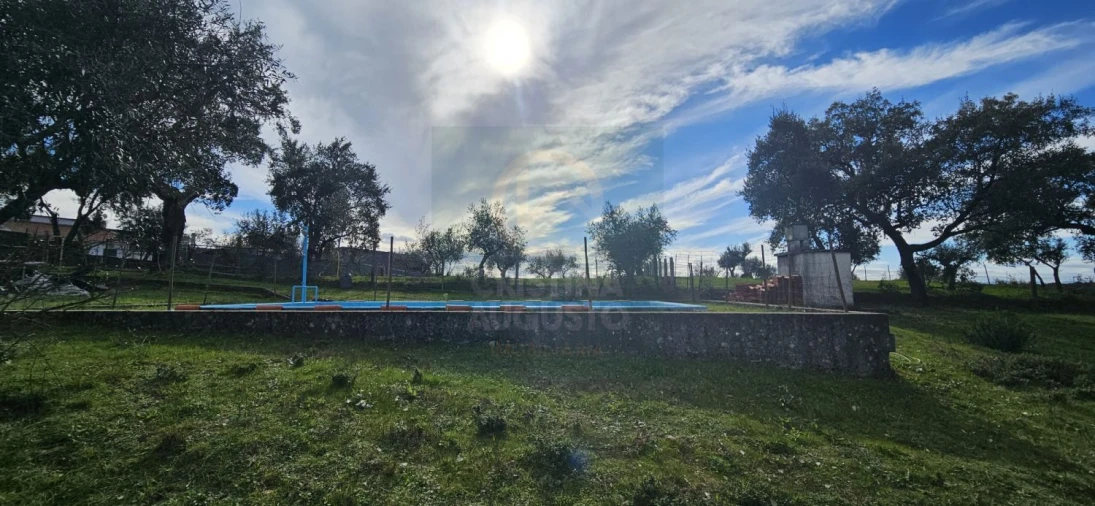 Terreno para Venda em Sarzedas Foto 15