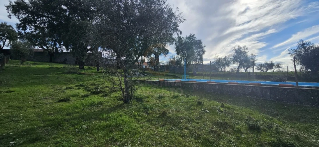 Terreno para Venda em Sarzedas Foto 13