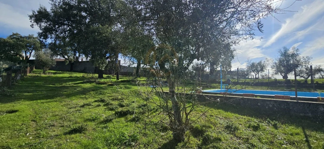 Terreno para Venda em Sarzedas Foto 10