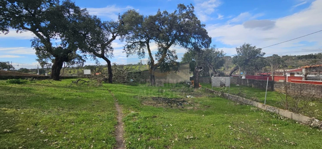 Terreno para Venda em Sarzedas Foto 37