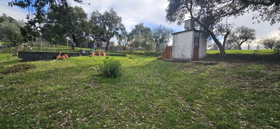 Terreno para Venda em Sarzedas Foto 27