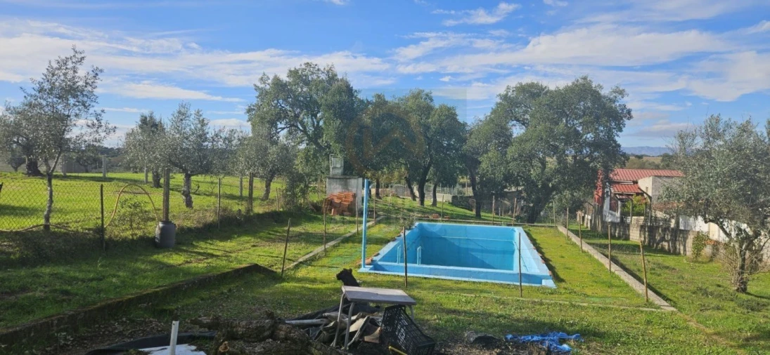 Terreno para Venda em Sarzedas Foto 12