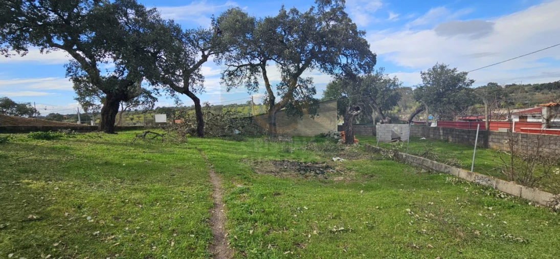 Terreno para Venda em Sarzedas Foto 31