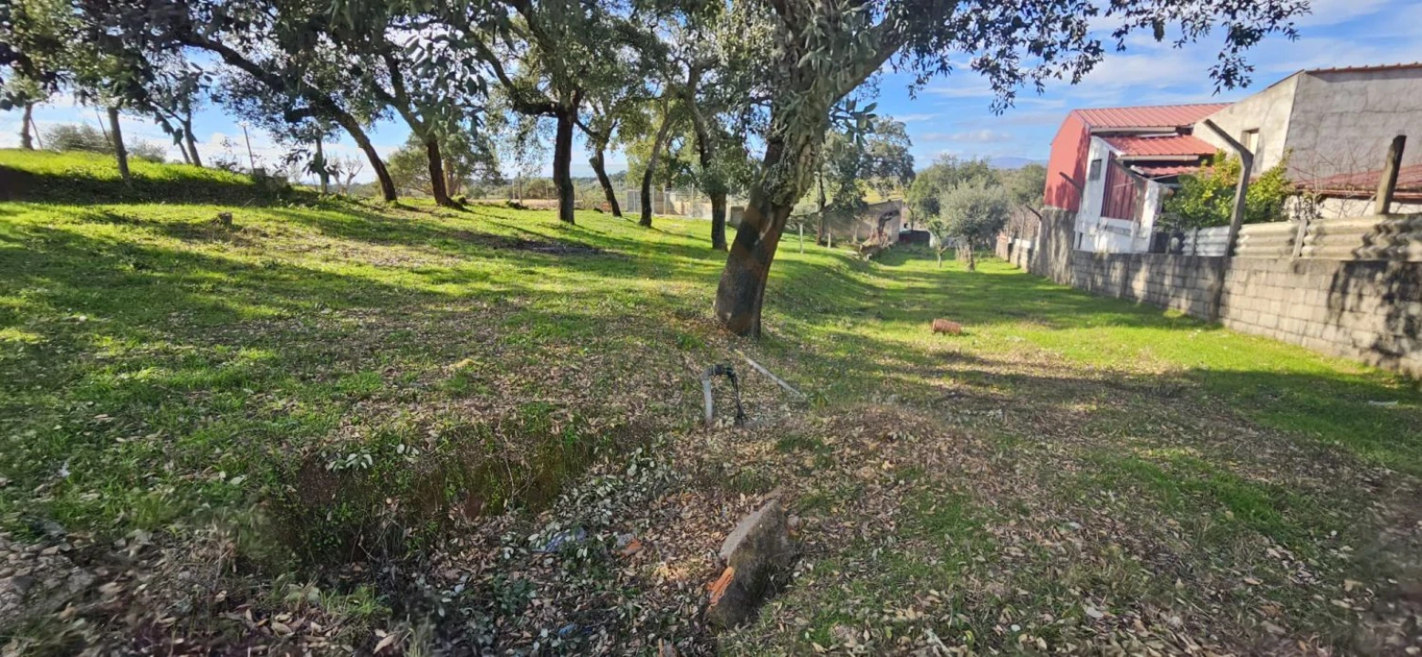 Terreno para Venda em Sarzedas Foto 39