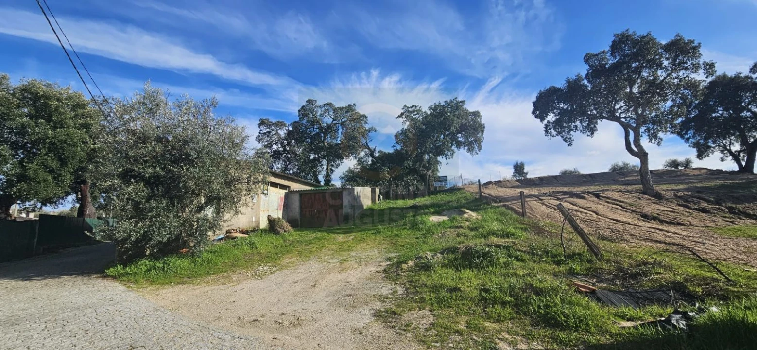 Terreno para Venda em Sarzedas Foto 16