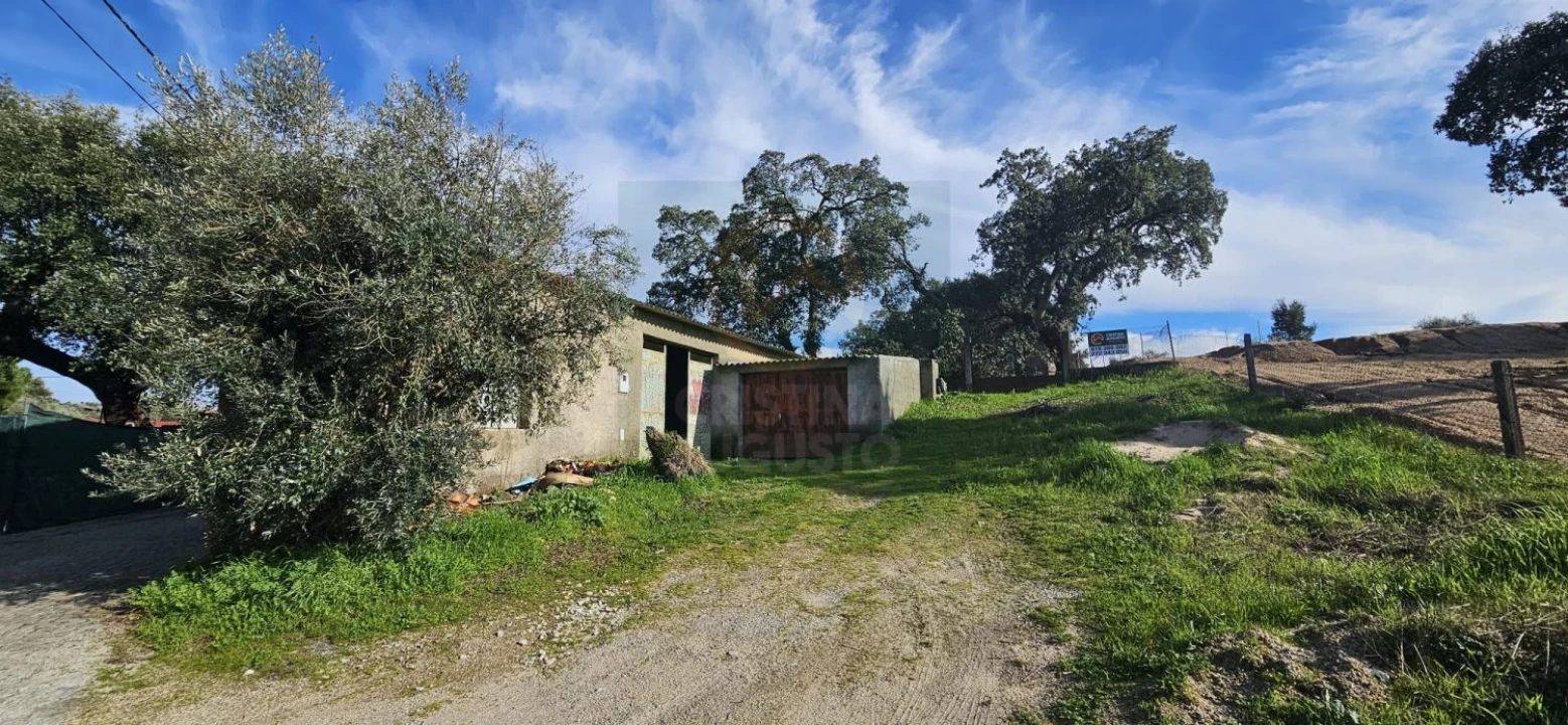 Terreno para Venda em Sarzedas Foto 26