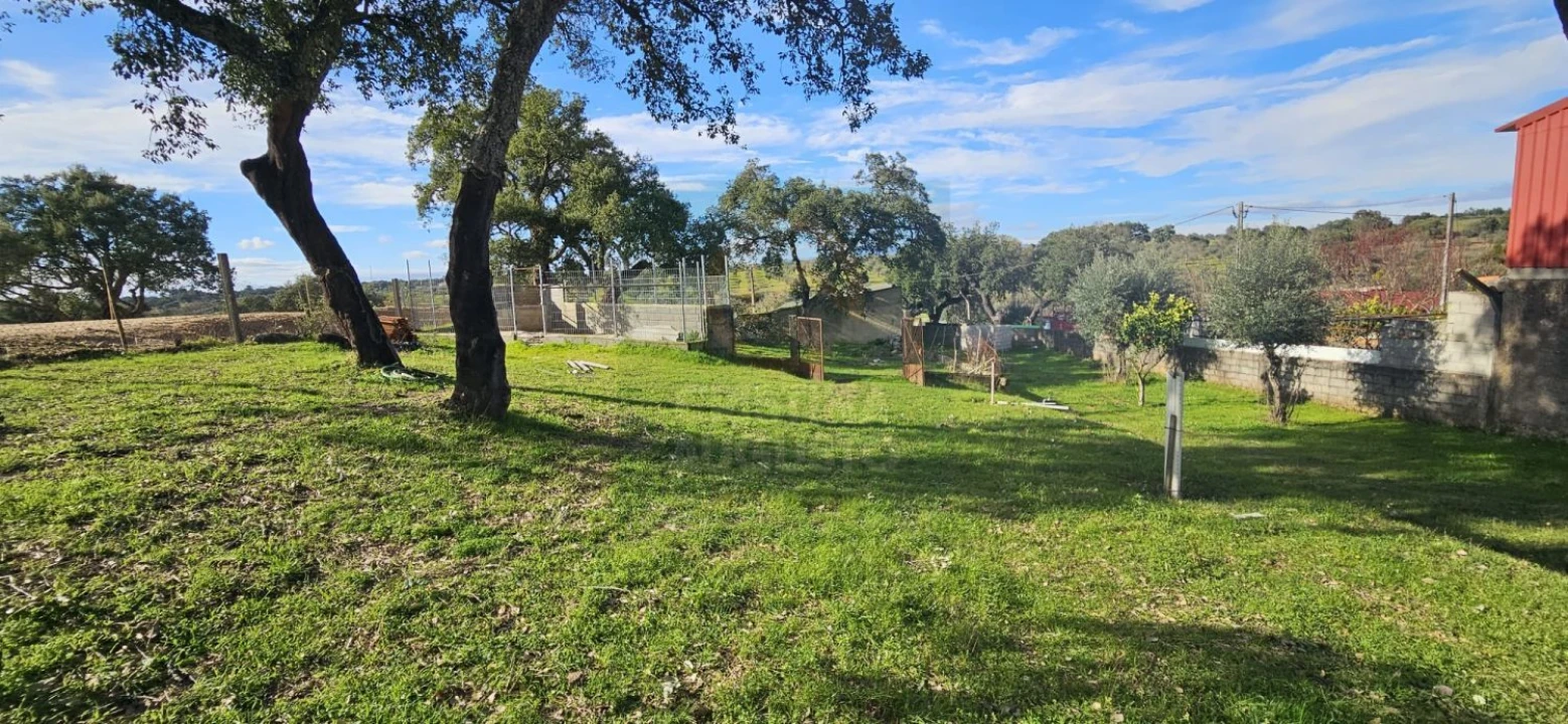 Terreno para Venda em Sarzedas Foto 36