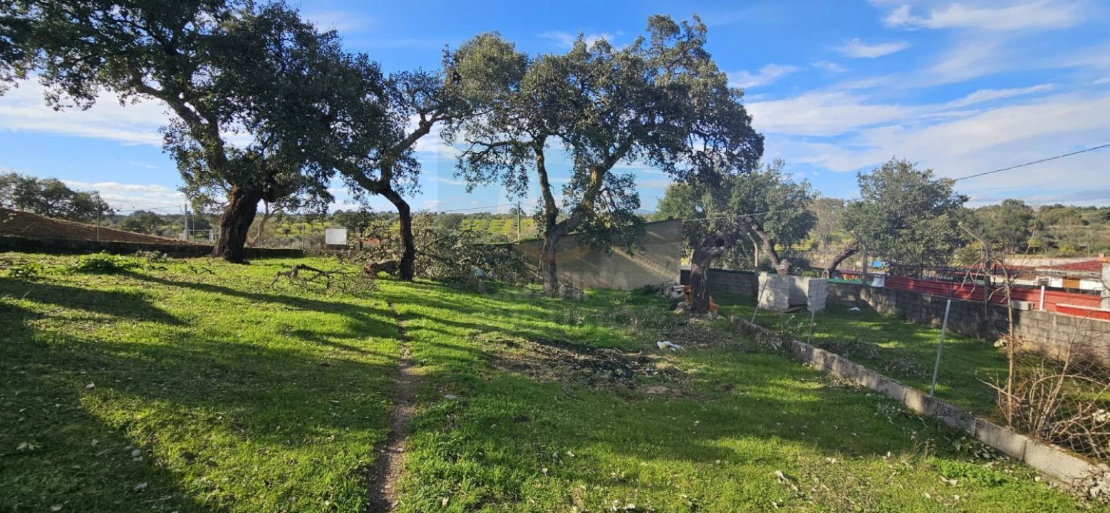 Terreno para Venda em Sarzedas Foto 32