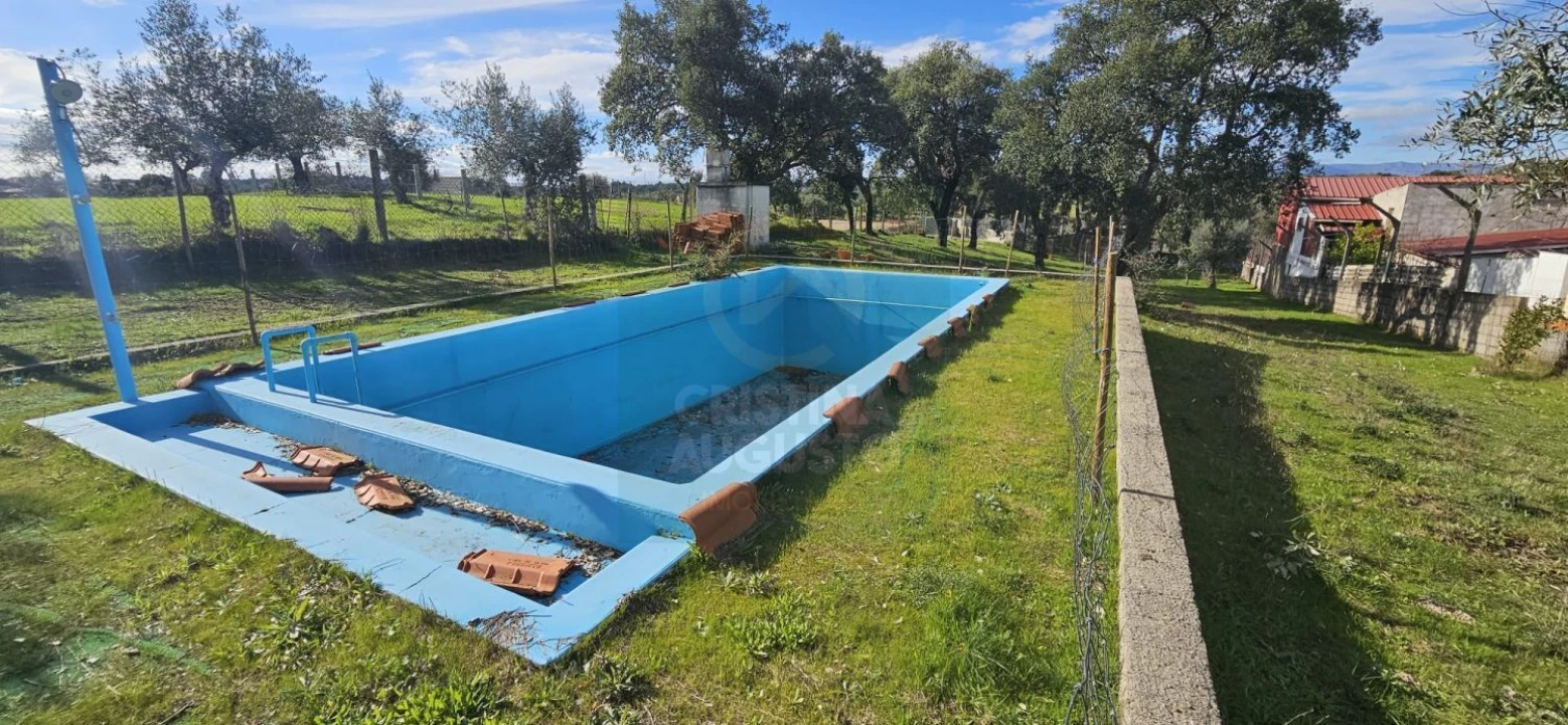Terreno para Venda em Sarzedas Foto 6