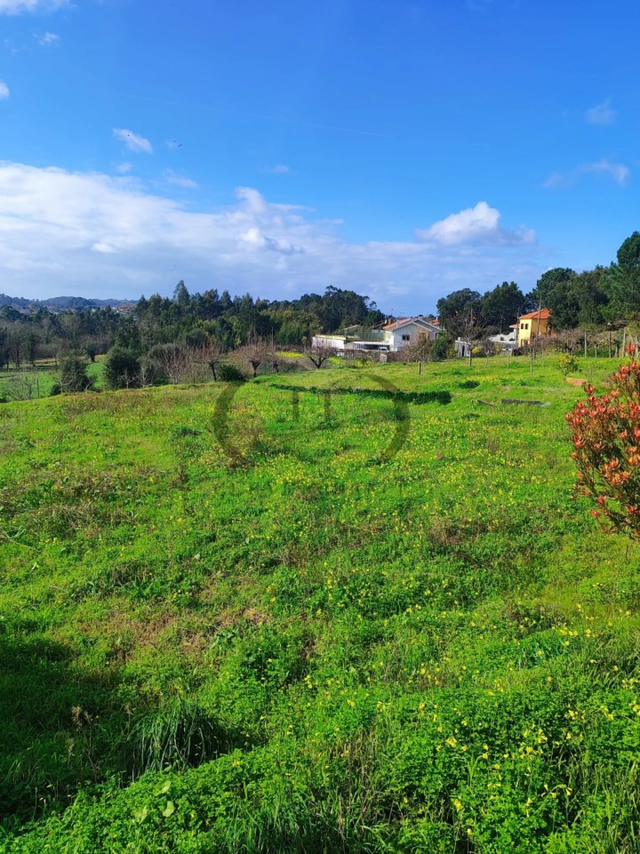 Terreno para Venda em Sandim, Olival, Lever e Crestuma Foto 2