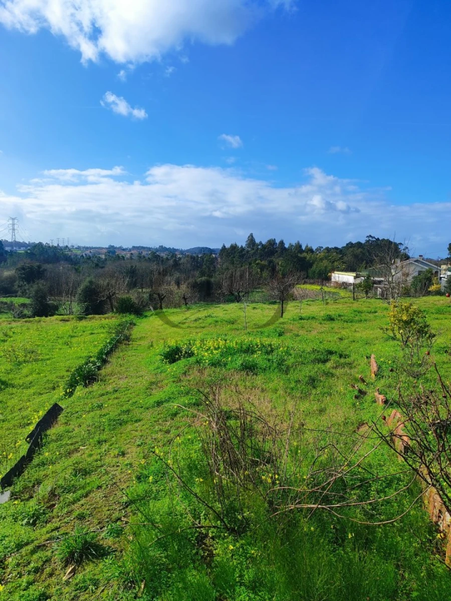 Terreno para Venda em Sandim, Olival, Lever e Crestuma Foto 5