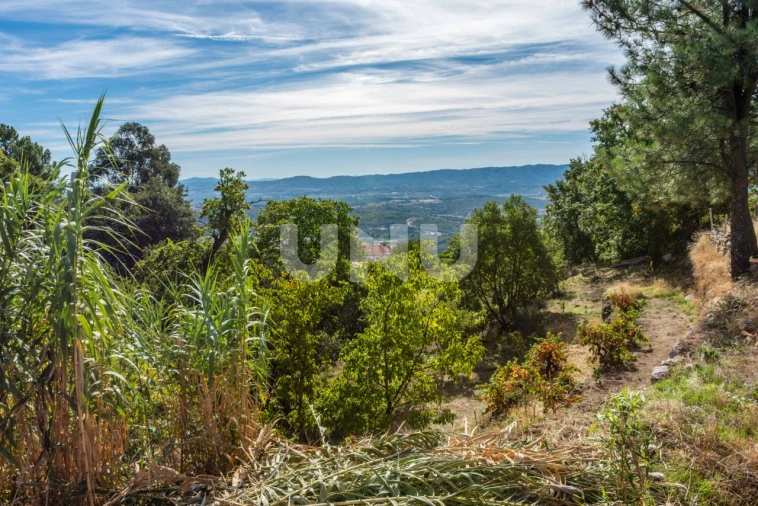 Terreno Agricola ou Rústico para Venda em Cantar-Galo e Vila do Carvalho Foto 4