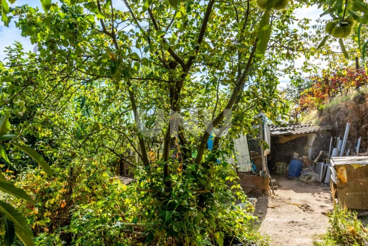 Terreno Agricola ou Rústico para Venda em Cantar-Galo e Vila do Carvalho Foto 6