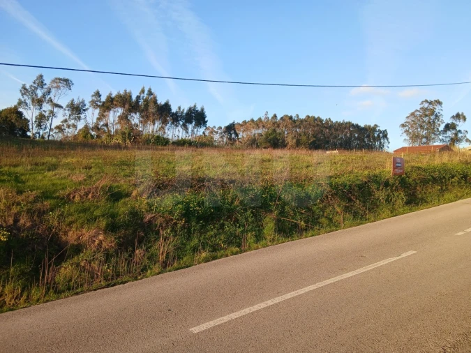 Terreno para Venda em Maxial e Monte Redondo Foto 11