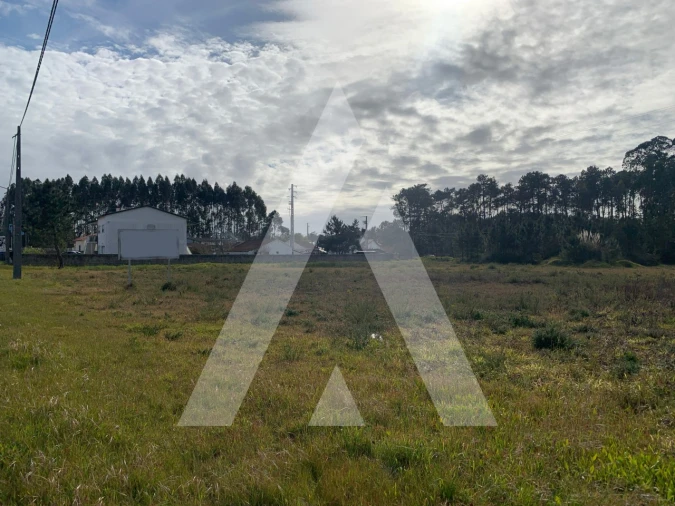 Terreno para Venda em Marinha Grande Foto 4