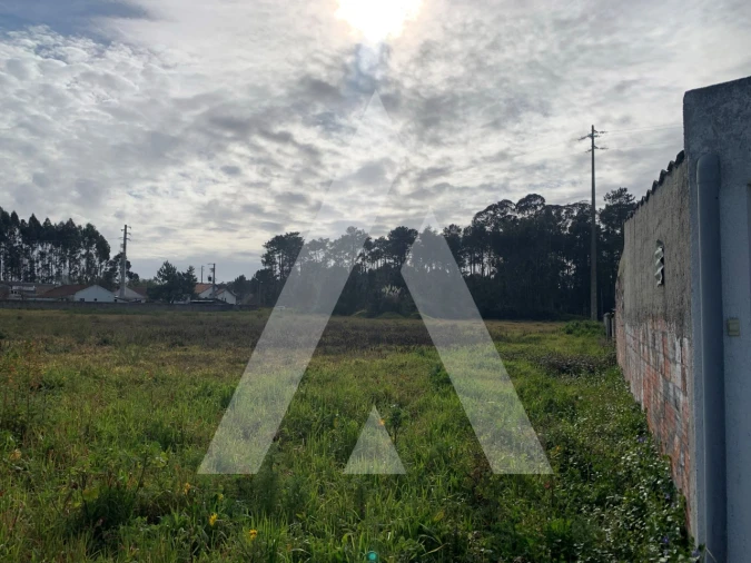 Terreno para Venda em Marinha Grande Foto 6