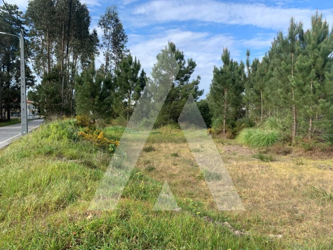 Terreno para Venda em Marinha Grande Foto 8