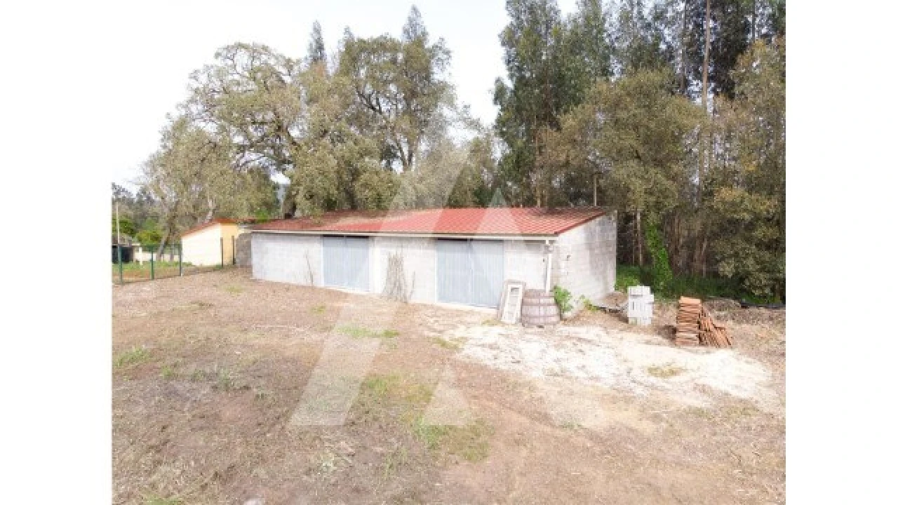 Terreno para Venda em Maçãs de D. Maria Foto 10