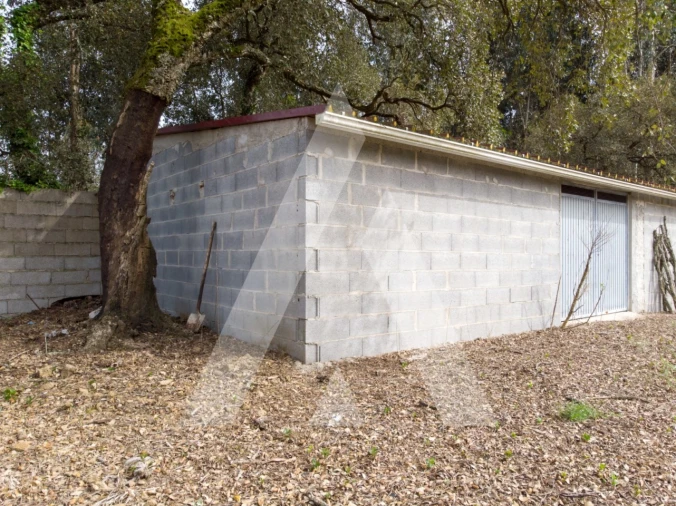Terreno para Venda em Maçãs de D. Maria Foto 5
