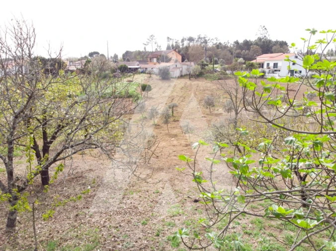 Terreno para Venda em Maçãs de D. Maria Foto 6