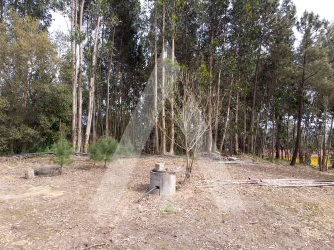 Terreno para Venda em Maçãs de D. Maria Foto 8