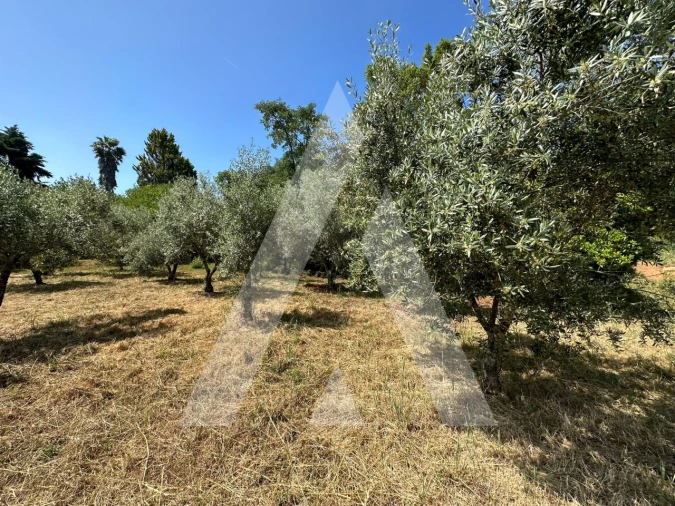 Terreno para Venda em Pussos São Pedro Foto 6