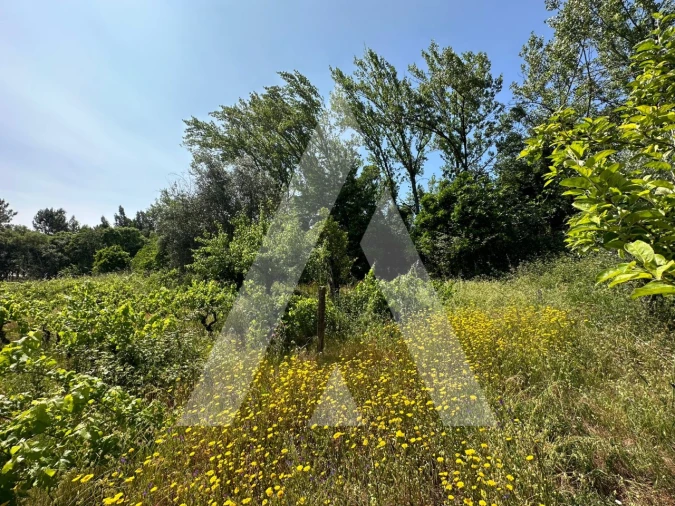 Terreno para Venda em Pussos São Pedro Foto 17