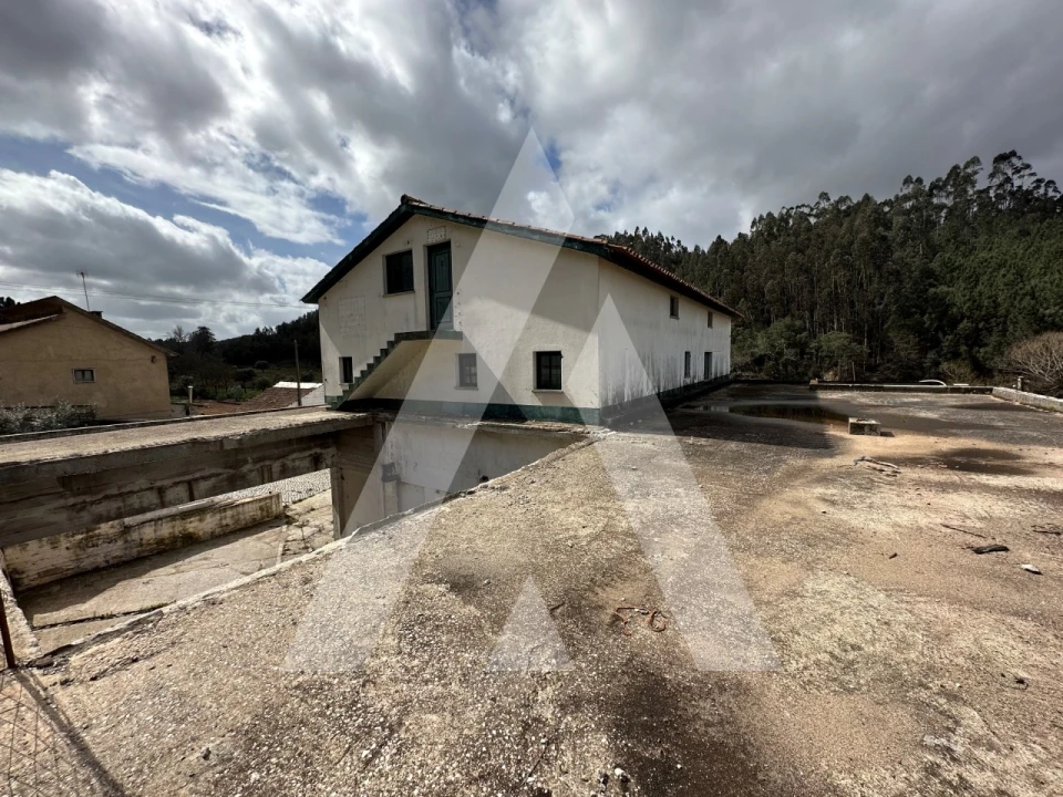 Armazém para Venda em Pussos São Pedro Foto 3