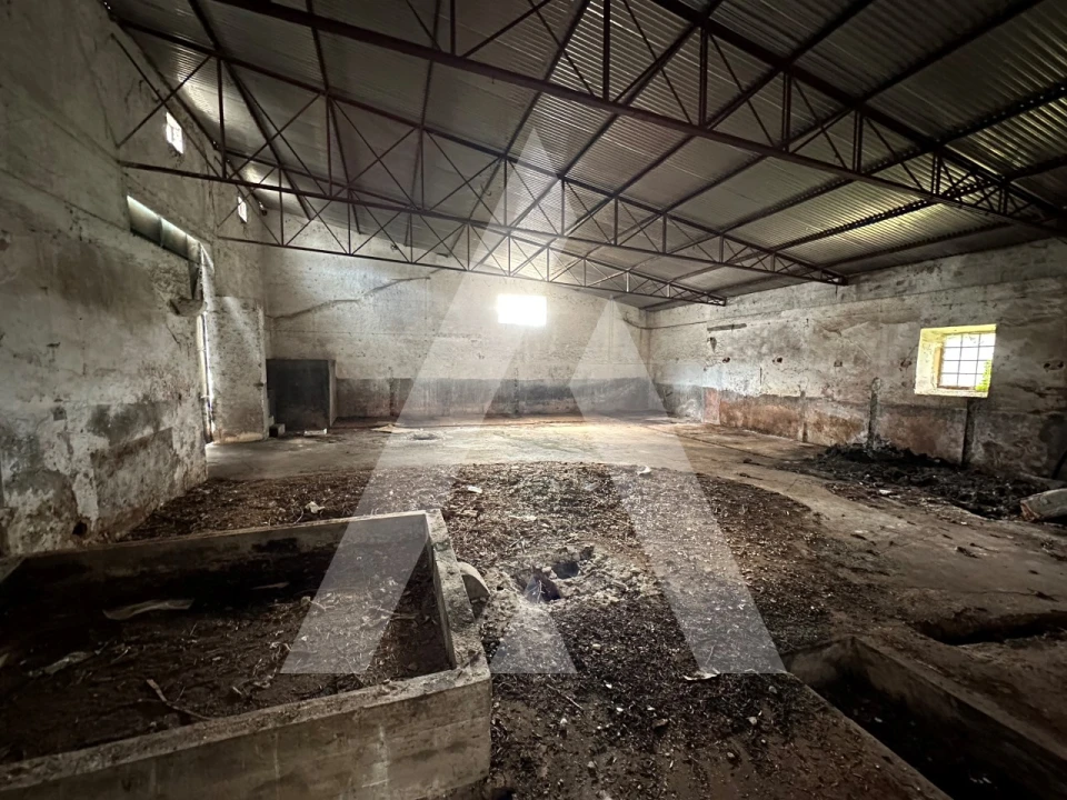 Armazém para Venda em Pussos São Pedro Foto 8